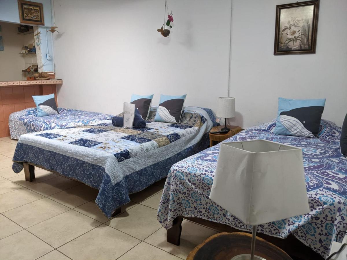 Guesthouse Casa Lapa2 Alajuela Esterno foto