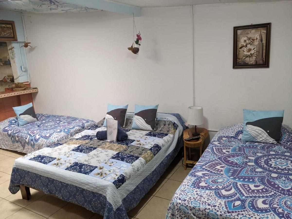 Guesthouse Casa Lapa2 Alajuela Esterno foto